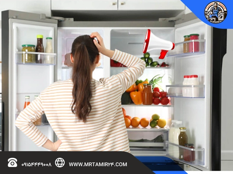 بوق زدن یخچال به چه معناست؟